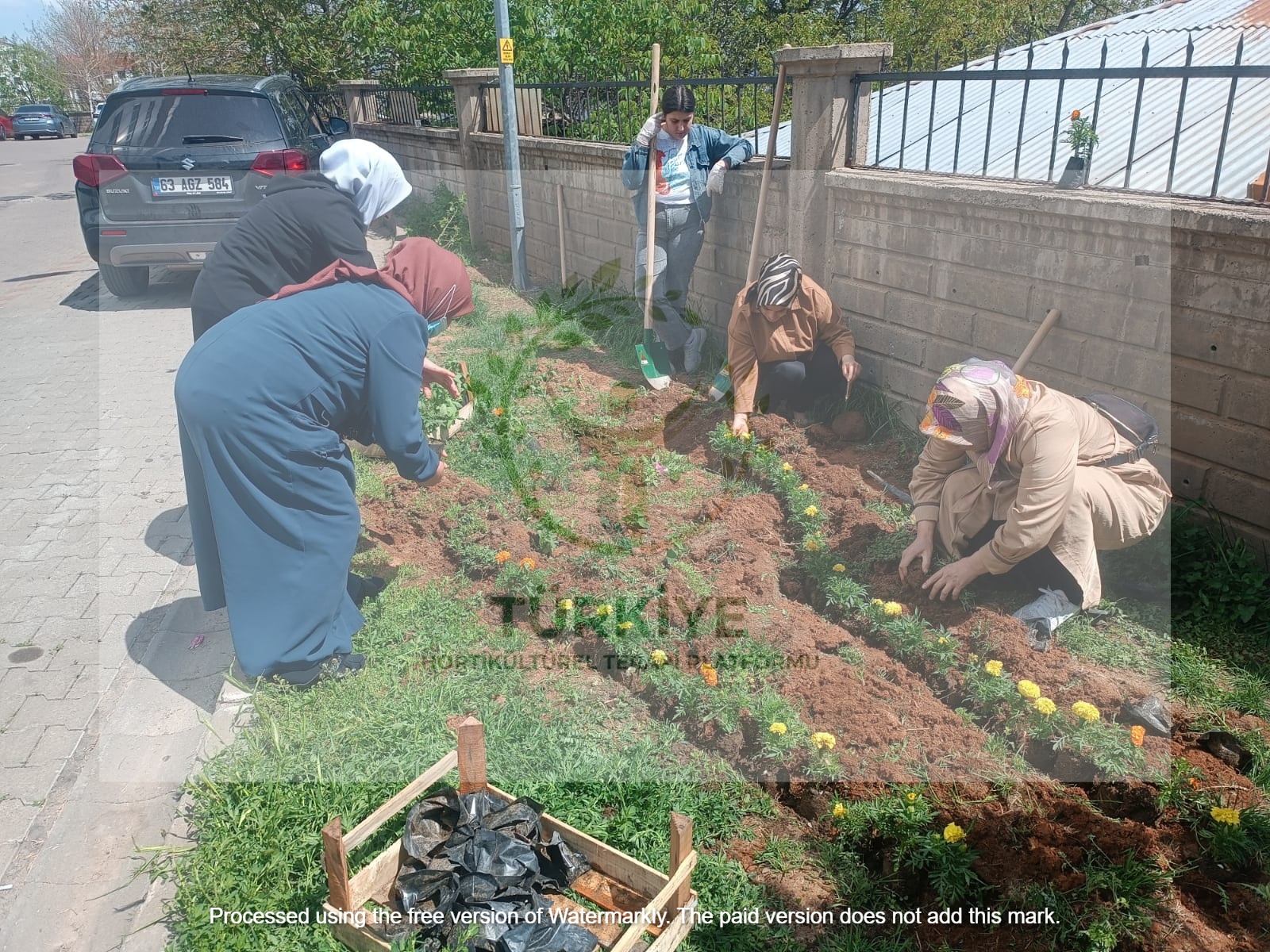 Hemodiyaliz hastalarının bakım vericilerine uygulanan hortikHültürel terapinin algılanan stres, iyilik düzeyi ve bakım yüküne etkisi: Randomize kontrollü bir çalışma
